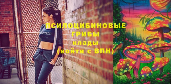 меф Ельня