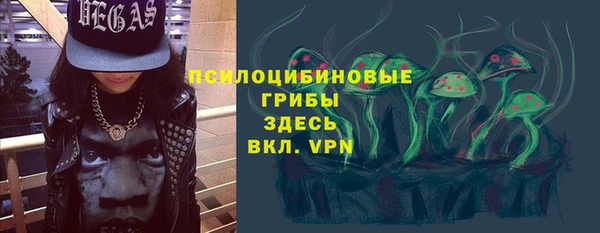 СК Елизово