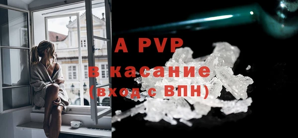 СК Елизово