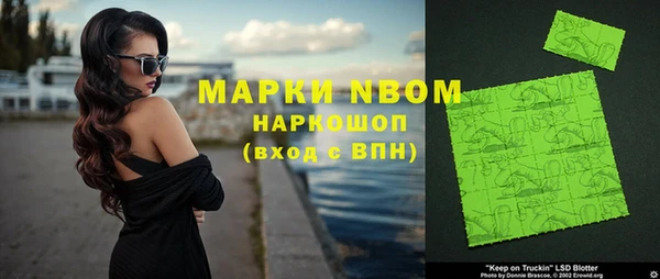 СК Елизово