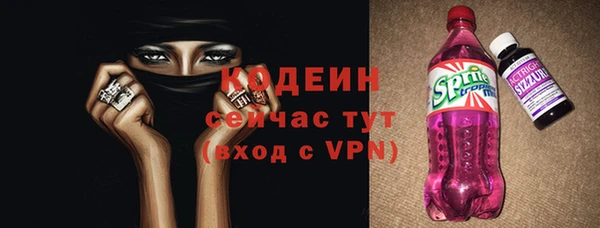 СК Елизово
