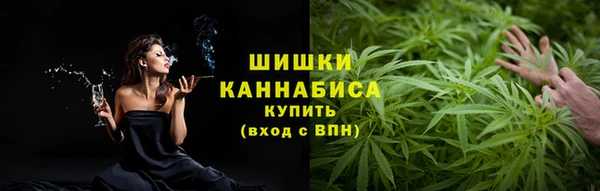 меф Ельня