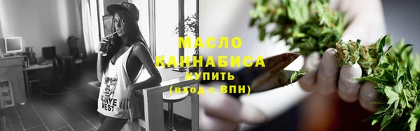 меф Ельня