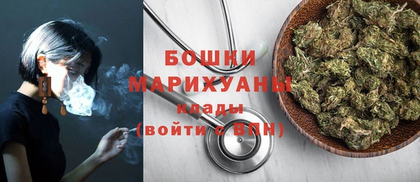 СК Елизово