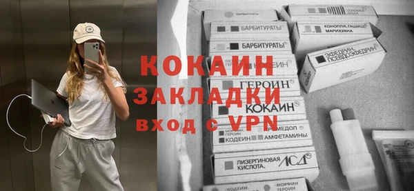 СК Елизово